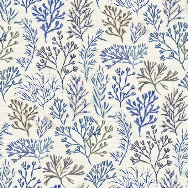 Blue Seaweed Botanical Large