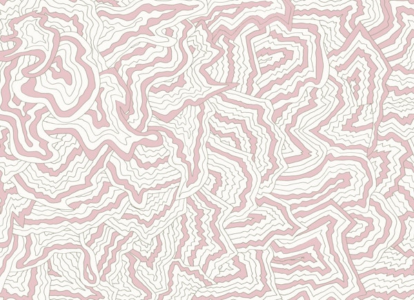 Soft Serenity Coral Maze