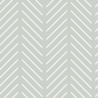 Dashed Chevron - Light Green Grey 1 tapeta