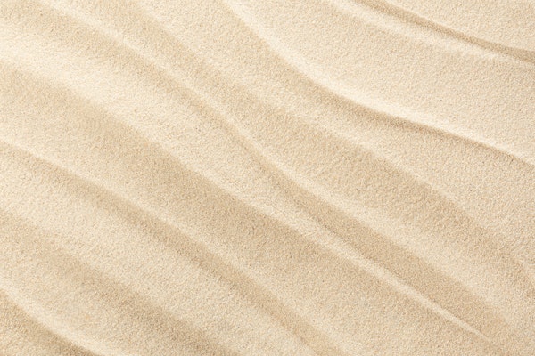 Tranquil Shore Surface