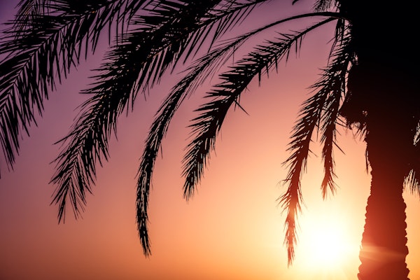 Colorful Sunset Horizon