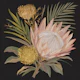 Tropical Protea Botanical Painting
