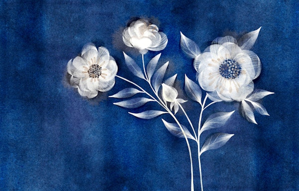 Dreamy White Florals on Indigo