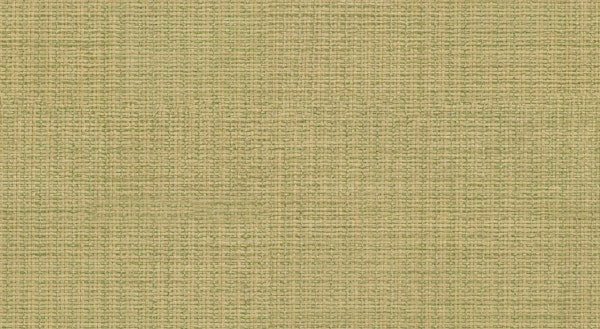Olive Grasscloth Weave