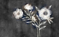 Dreamy White Florals on Charcoal tapeta