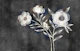 Dreamy White Florals on Charcoal