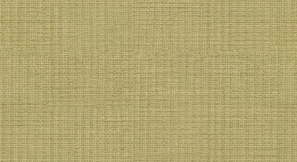 Olive Grasscloth Weave S