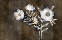Dreamy White Florals on Sepia tapeta