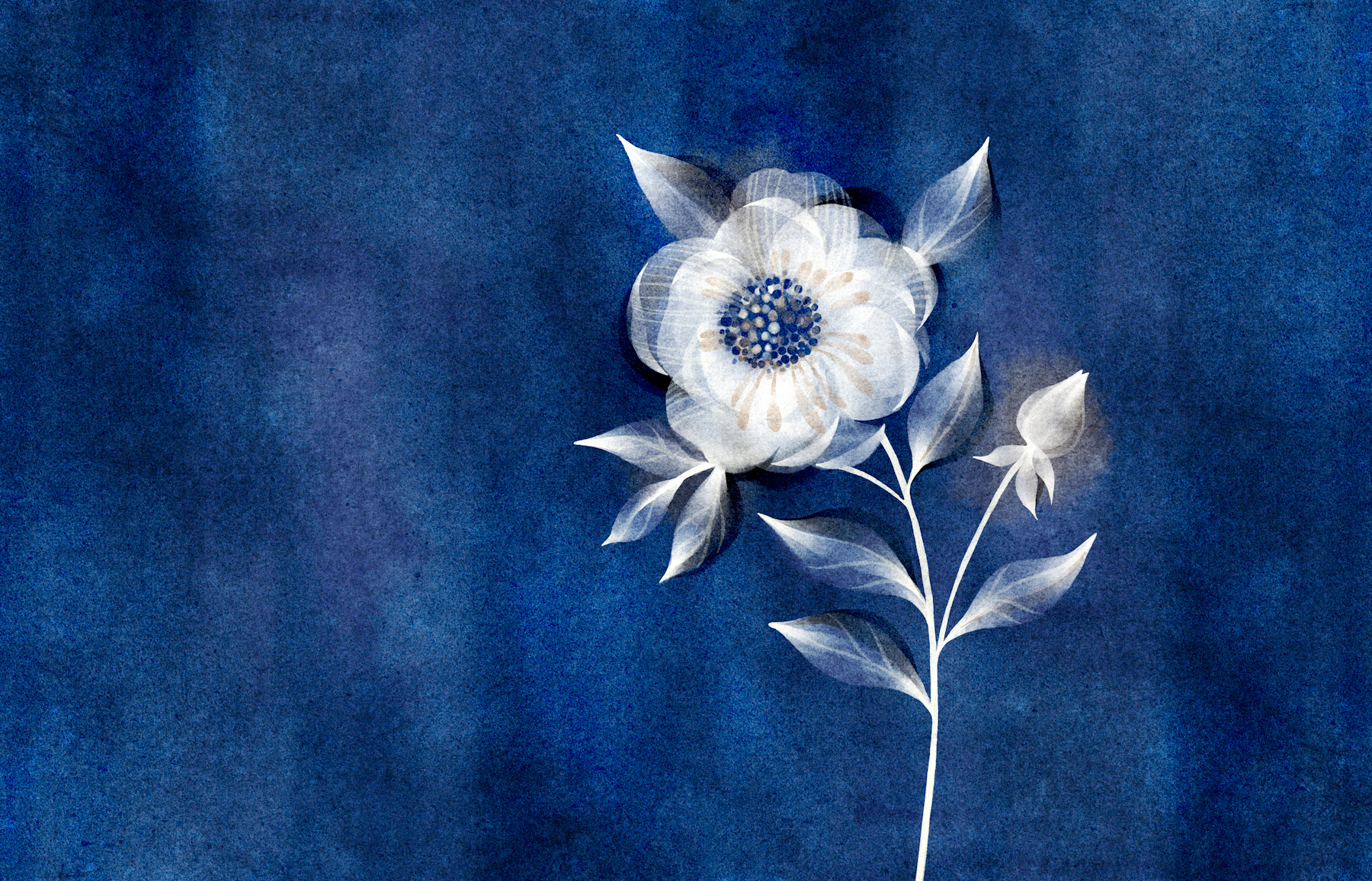 cyanotype