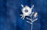Dreamy White Flower on Indigo wallpaper