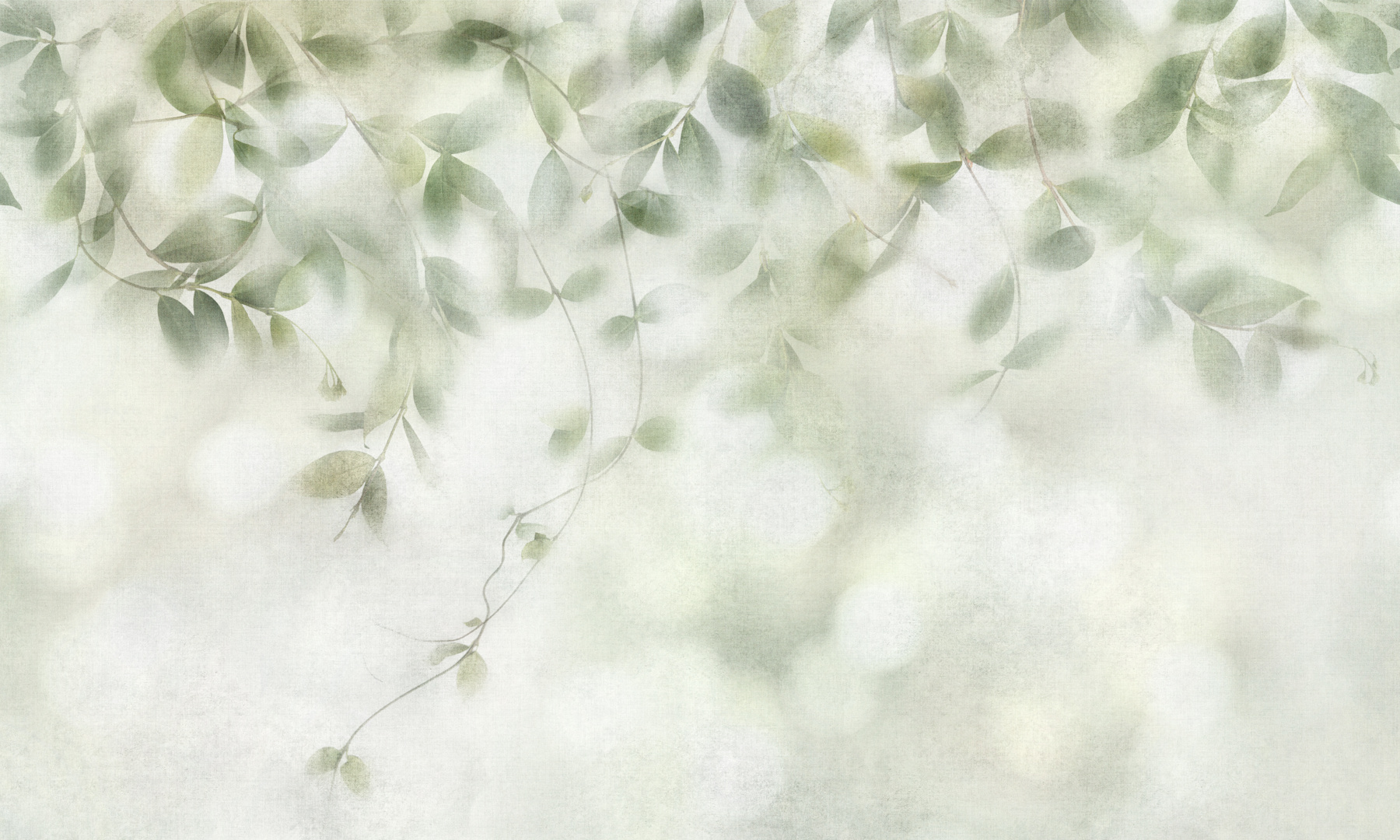 bokeh