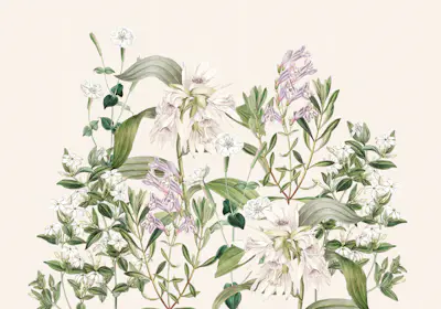 Mural