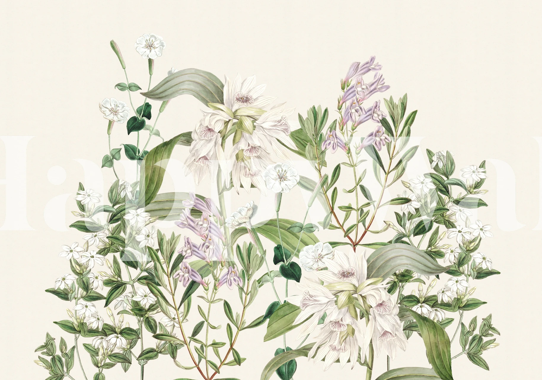 Vintage Botanical Wildflowers tapet