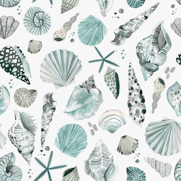 Coastal Marine Ocean Sea Shells Blue