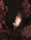 Ethereal Guardian in Dark Forest