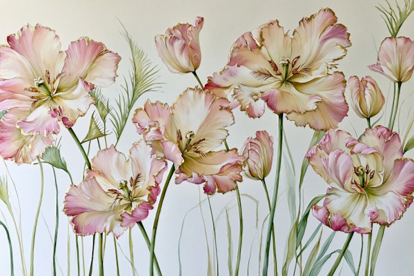 Pink Tulip Gold Garden