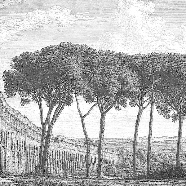 BW Toile Roman Aqueduct Landscape