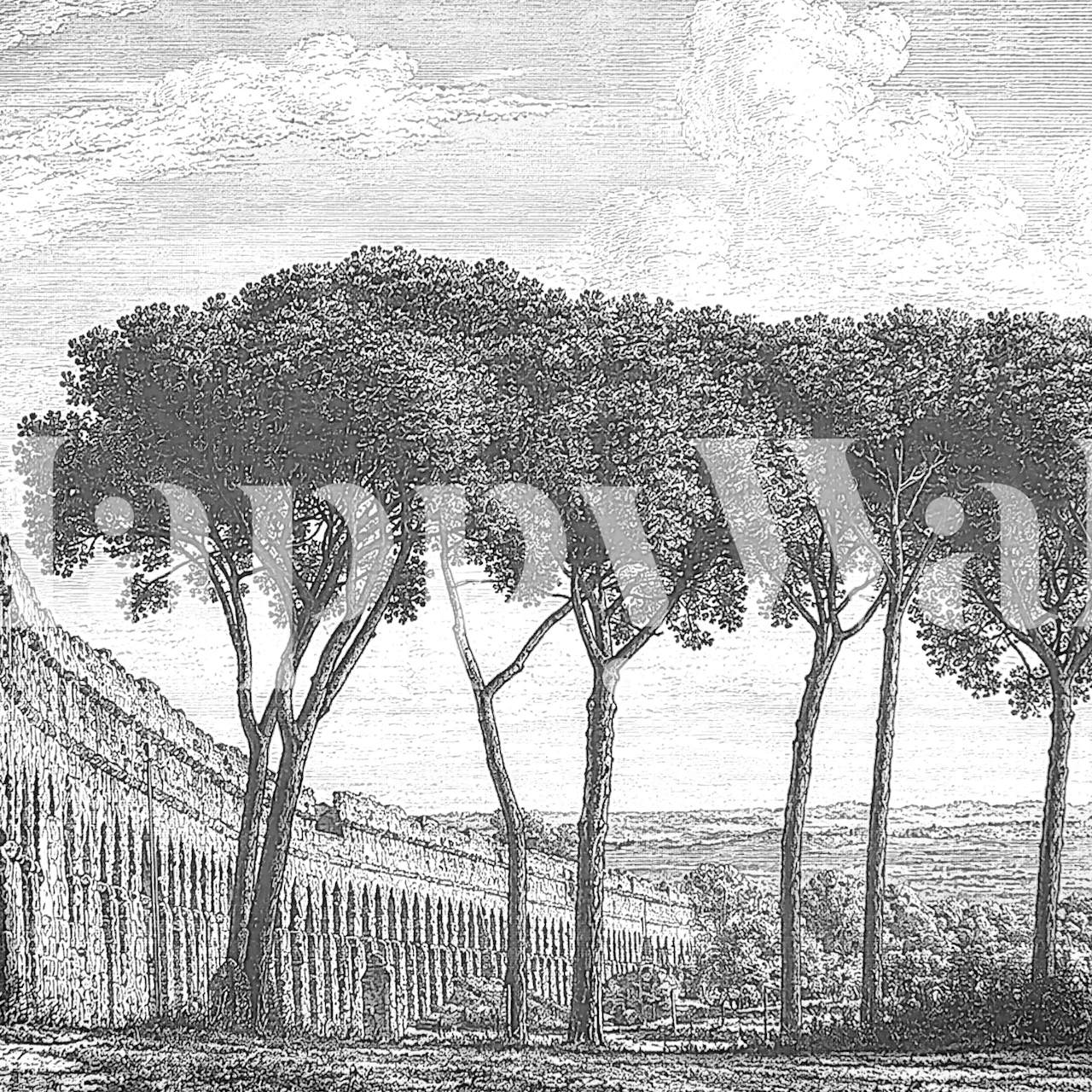 BW Toile Roman Aqueduct Landscape wallpaper in a room