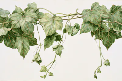 Mural