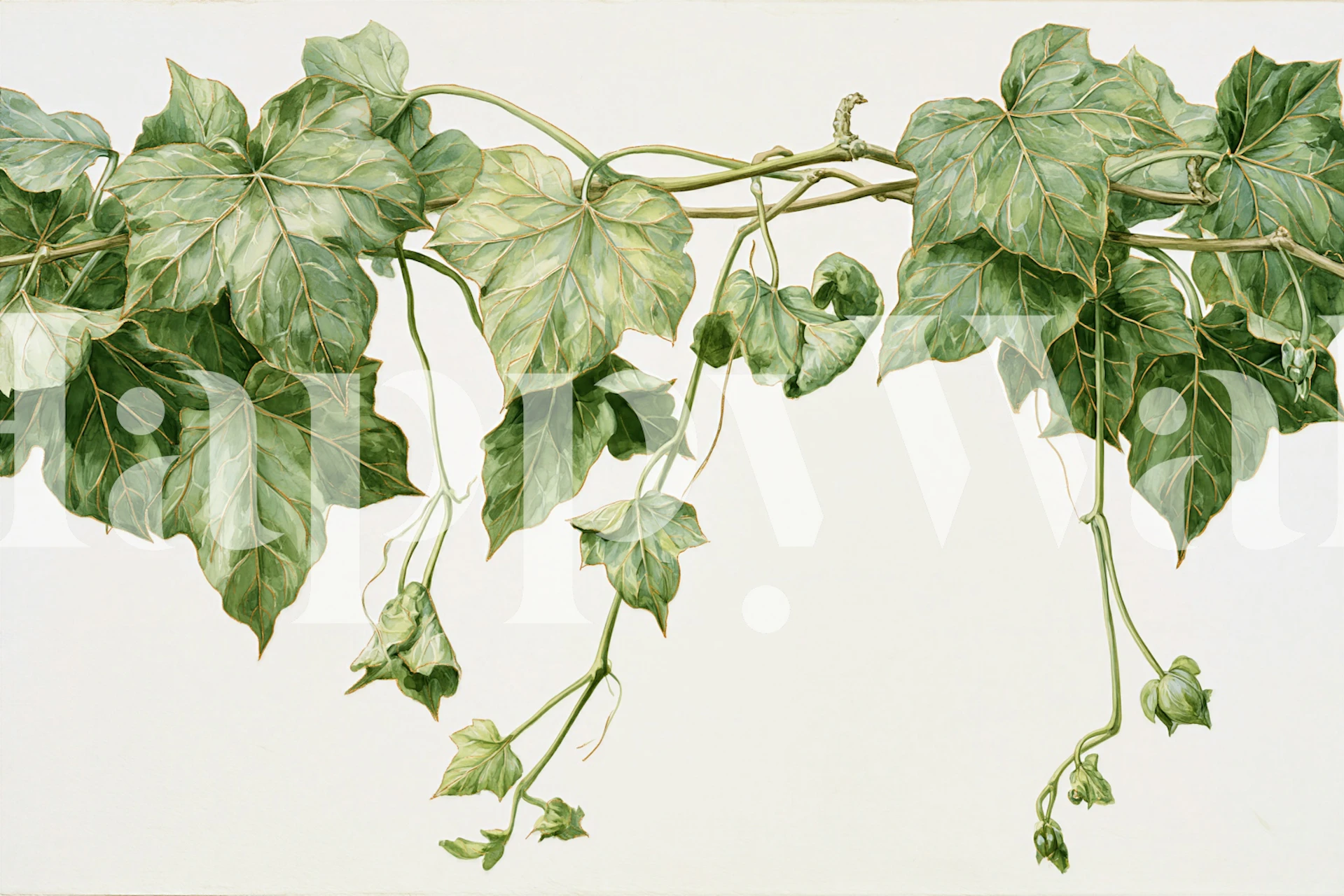 Ivy Trailing Branch Botanical Dark Green tapet