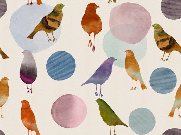 Modern Watercolor Bird Toss