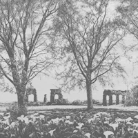 BW Old Aqueduct Ruins Among Trees wallpaper