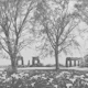 BW Old Aqueduct Ruins Among Trees