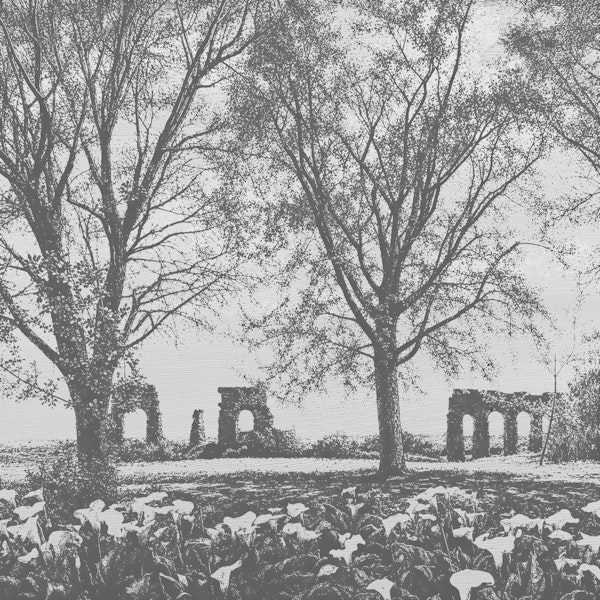 BW Old Aqueduct Ruins Among Trees
