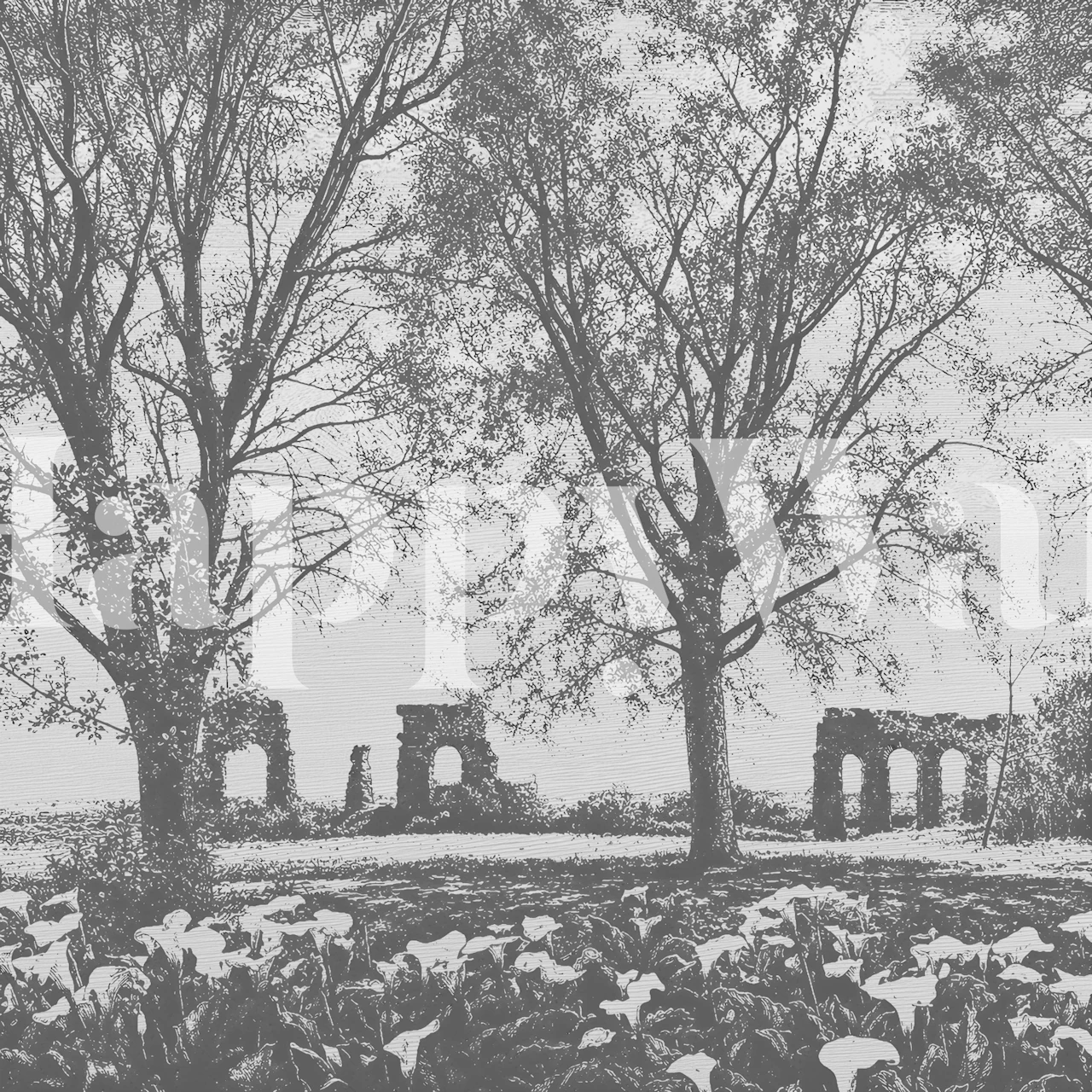 BW Old Aqueduct Ruins Among Trees wallpaper