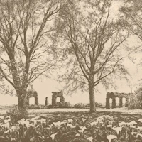 Sepia Old Aqueduct Ruins Among Trees wallpaper