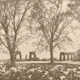 Sepia Old Aqueduct Ruins Among Trees