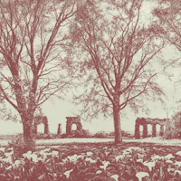 Magenta Old Aqueduct Ruins Among Trees wallpaper