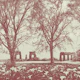Magenta Old Aqueduct Ruins Among Trees