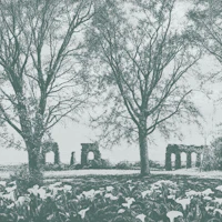 Green Old Aqueduct Ruins Among Trees wallpaper