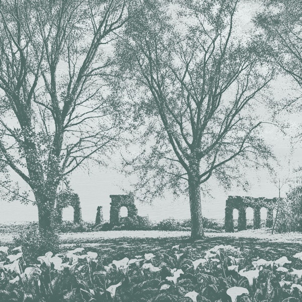 Green Old Aqueduct Ruins Among Trees