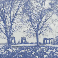 Blue Old Aqueduct Ruins Among Trees wallpaper