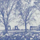 Blue Old Aqueduct Ruins Among Trees