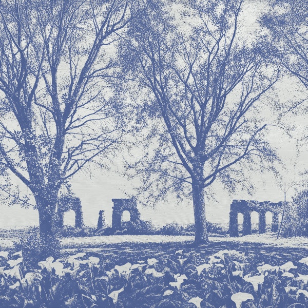 Blue Old Aqueduct Ruins Among Trees