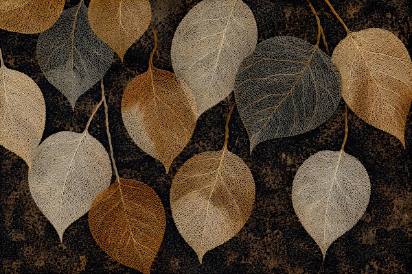 Golden Midnight Leaves