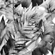 Tropical Leaf Collage Noir