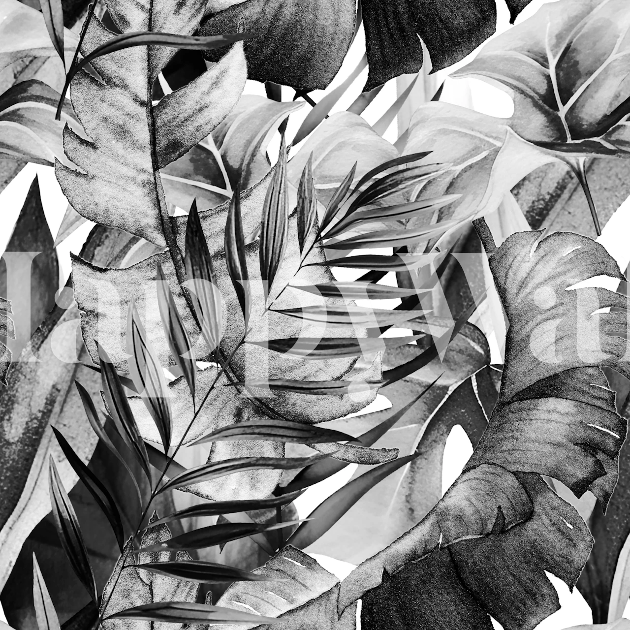 Tropical Leaf Collage Noir tapet i et rom
