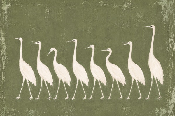 White Cranes Marching