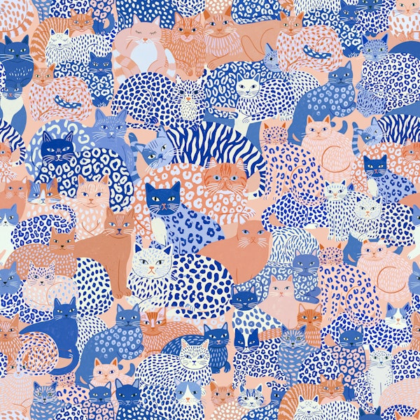 Blue Orange Cat Collage