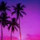 Purple Aesthetic Summer