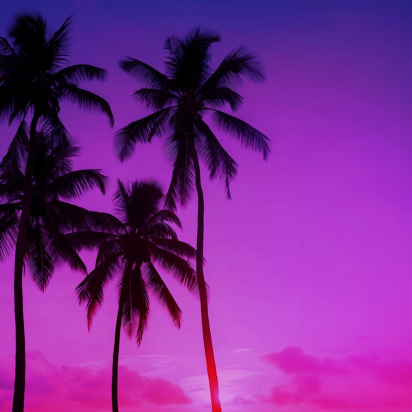 Purple Aesthetic Summer