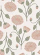 Vintage Botanical Chrysanthemums Medium Scale
