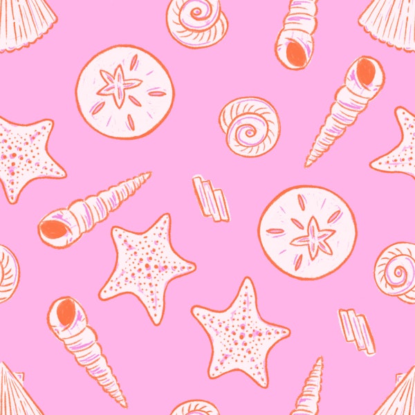 Pink Beach Shells and Starfish