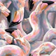 Colorful handpainted flamingos Medium