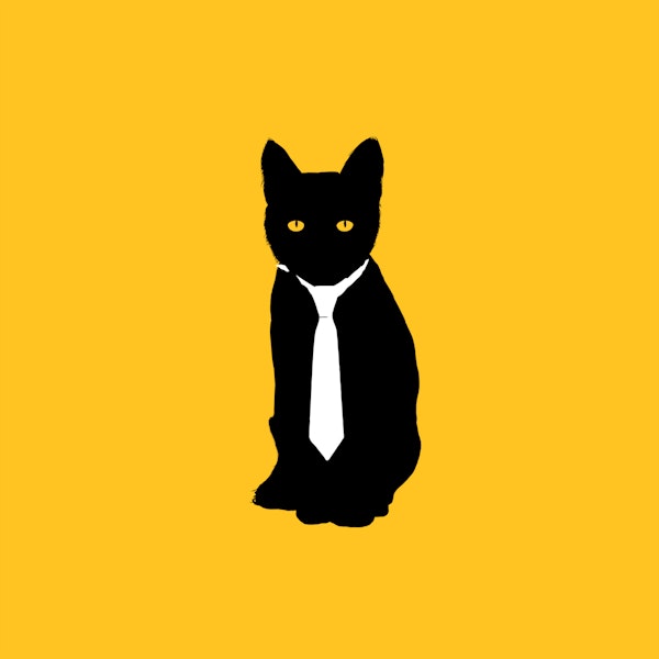 Office Cat