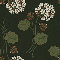 White Geranium on Deep Green tapet